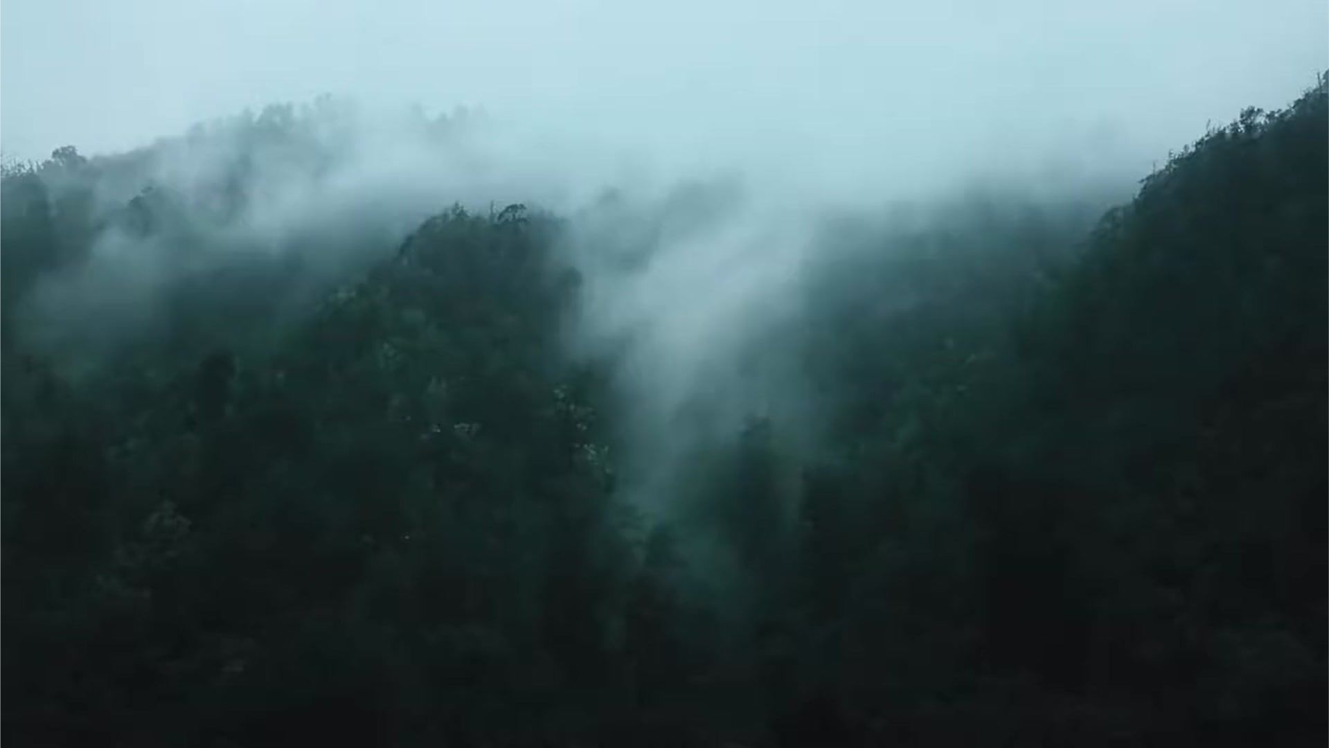 罗永浩豁出去了！首秀广告尺度拉满，网友：这是我们能免费看的？