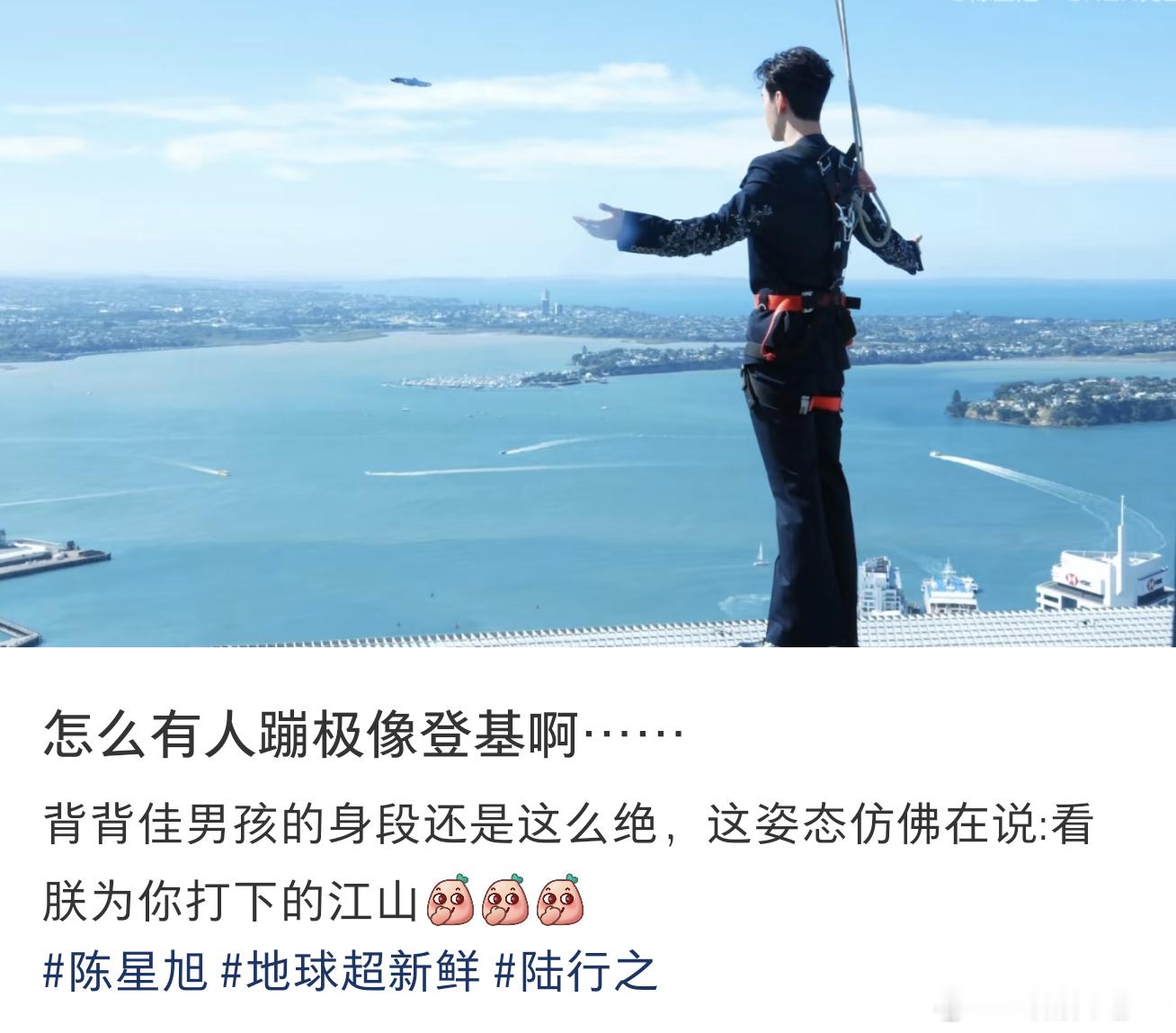 看到有人说陈星旭这张蹦极背影图像在登基一旦接受了这种设定地球超新鲜