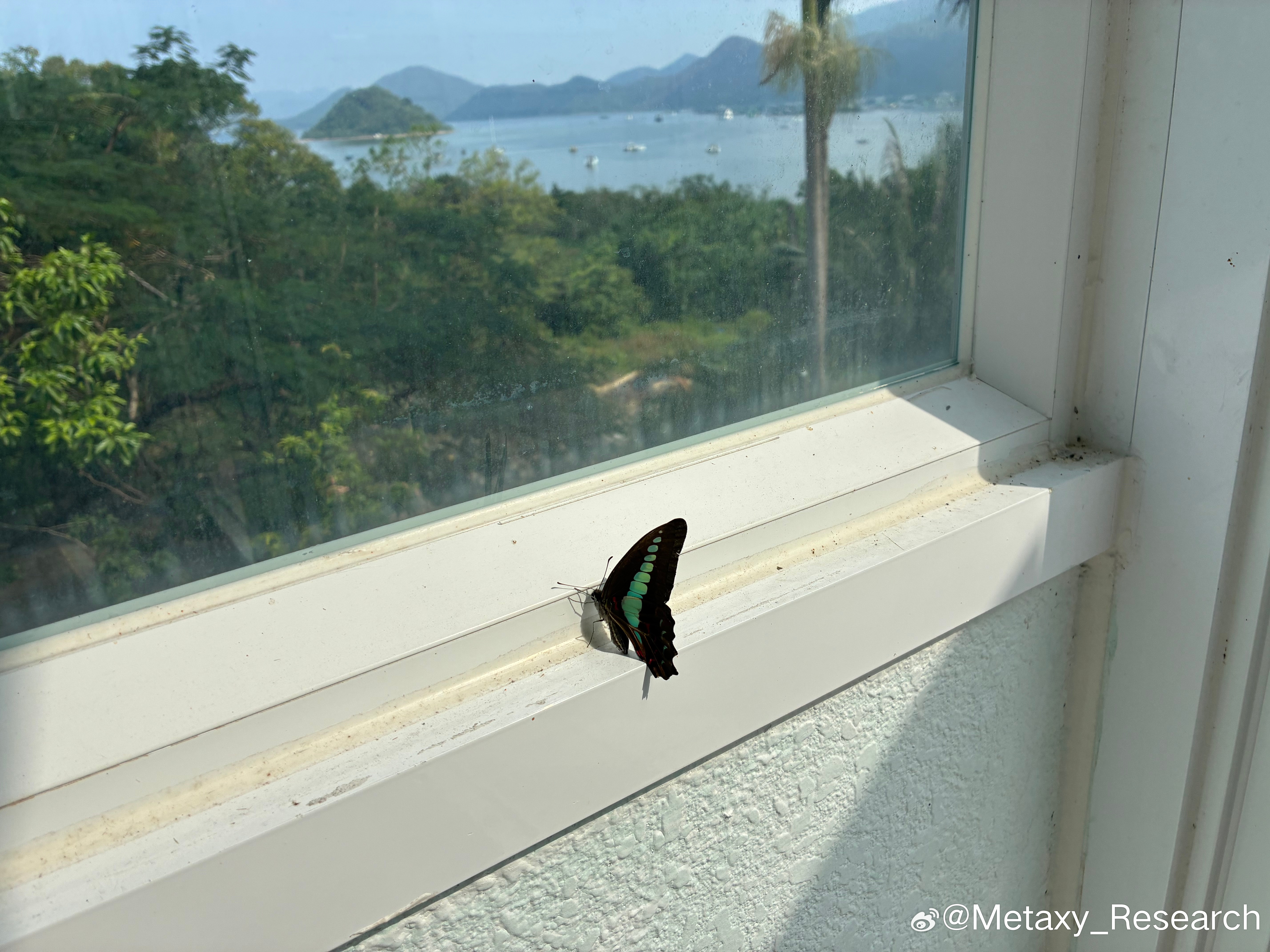 Share with pics ​​​