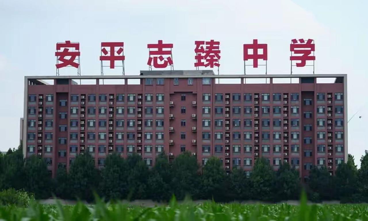 【衡水志臻中学陷债务危机！周兆成：民校股权与资金监管有红线，举报线索需依法核查】