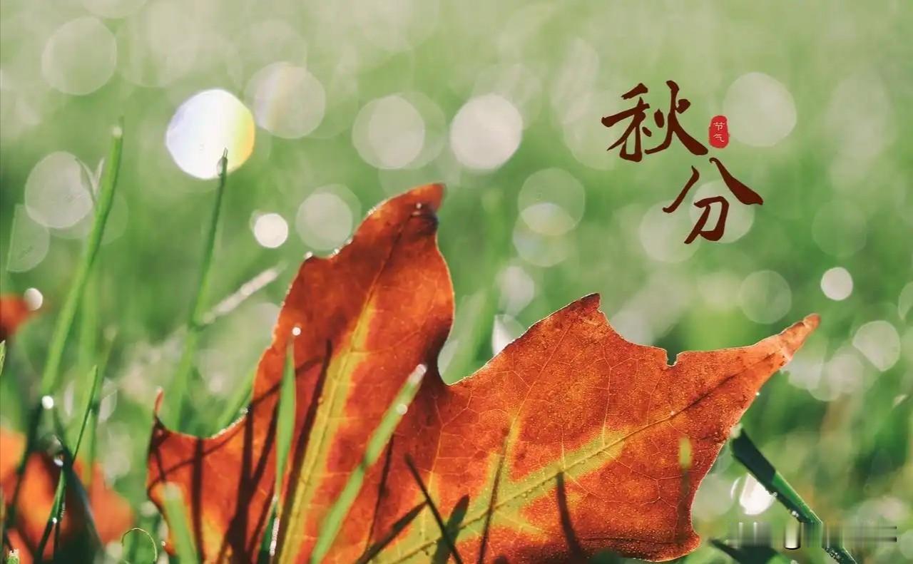 9月23号秋分，今年的秋分节气，有什么不一般？
 
9月23日上午8点05分27