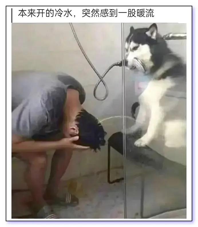 一股暖流，沁人心脾[笑哭][笑哭]