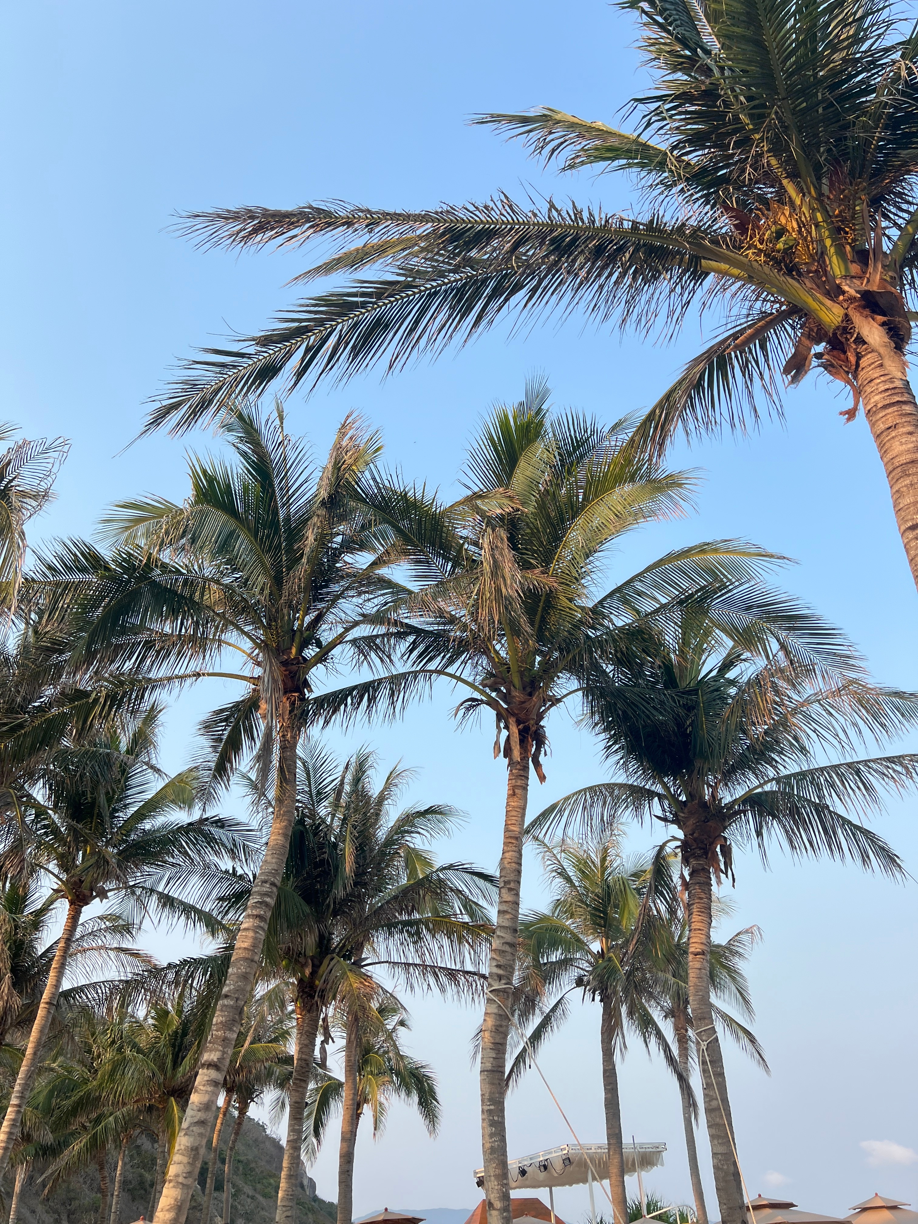 五一环游记微博旅行ING交换城市春光五一奔赴三亚太阳湾，邂逅藏在山海间的治愈秘境