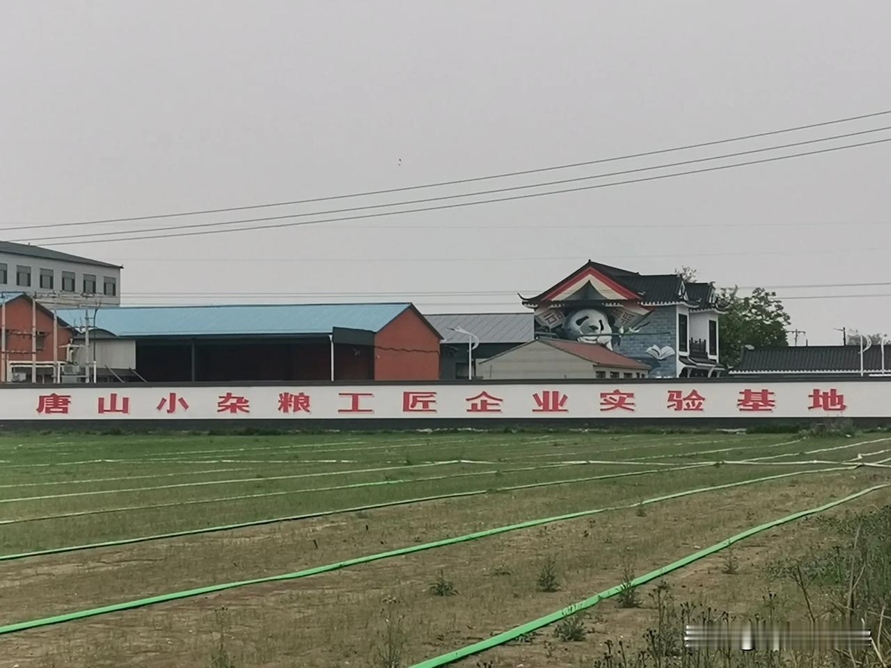 恕我无知，“小杂粮工匠企业”是啥意思？
路过一个村庄，村头一家批发小杂粮的大院子