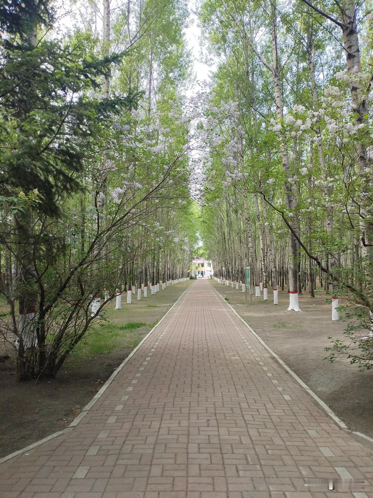 华为发布半导体新定律，标志着我国半导体从技术跟随转向理论引领，为全球突破摩尔定律