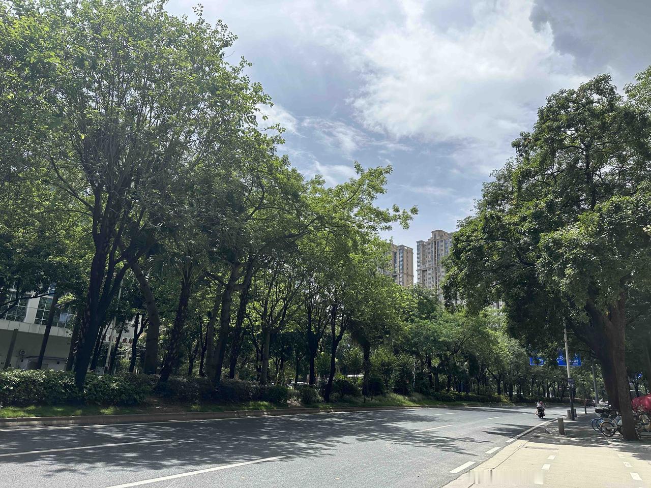 禅城亚艺富人区冒出新盘，你猜卖几钱？

禅城亚艺板块的迷你盘文华公馆来了，今天开