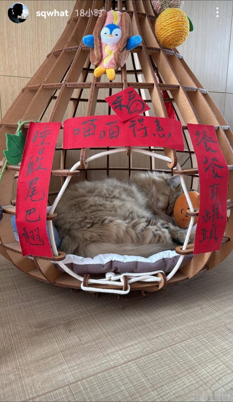 舒淇给猫窝贴对联  舒淇晒猫窝  舒淇给猫窝贴对联，羡慕了 