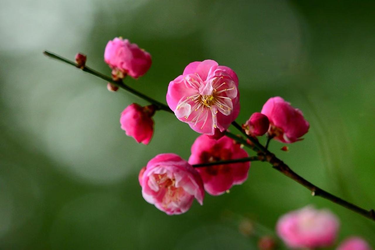 **沉默的巨头：砺算科技为何“低调前行”？解密其战略背后的深意**

在国产科技