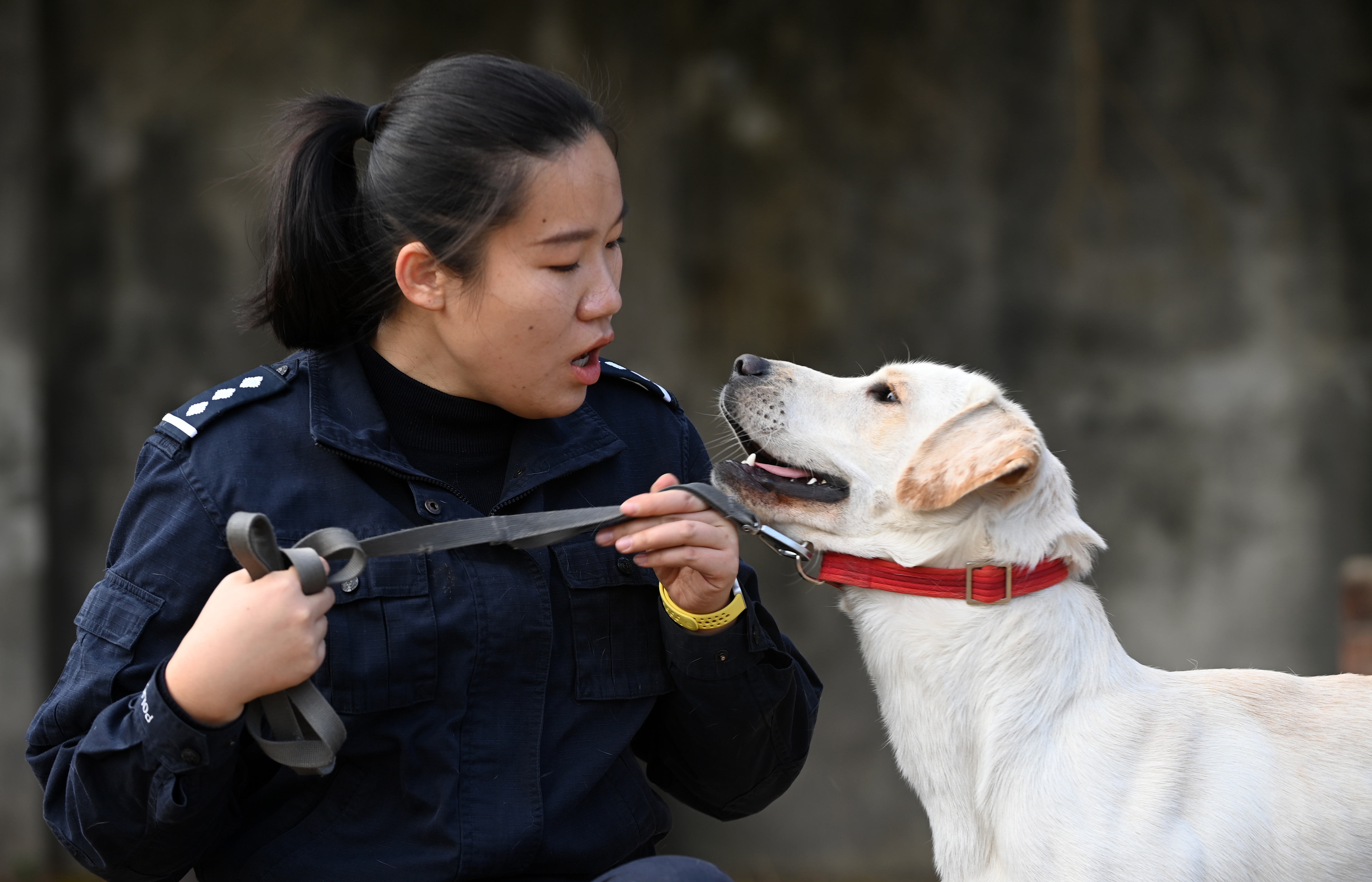 一名“90后”警犬训导员的警察节