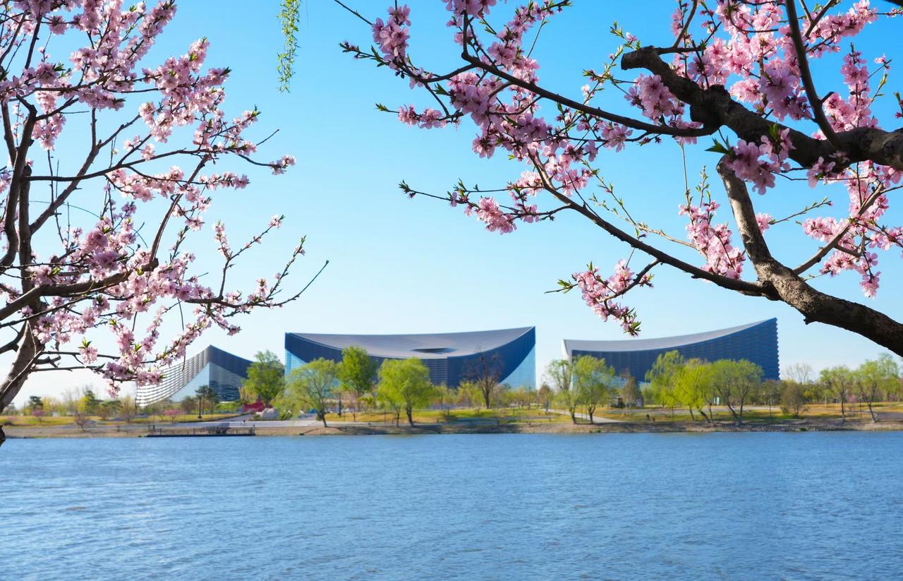 咏通州
不夸古塔历史久
画舫无非忆旧游
中央擘划副中心
十年建设大成就
满城花树