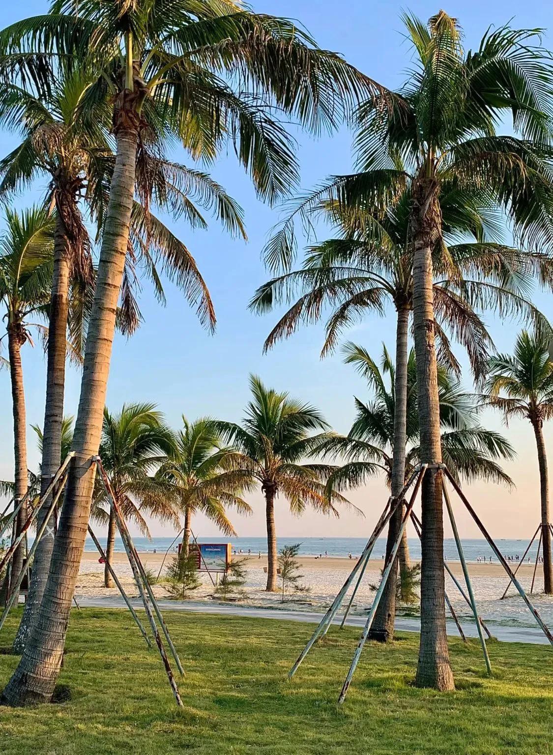 反统一就是宣布台独台湾 
      赖清德趁中美蜜月之际出来作妖，对外宣称台湾