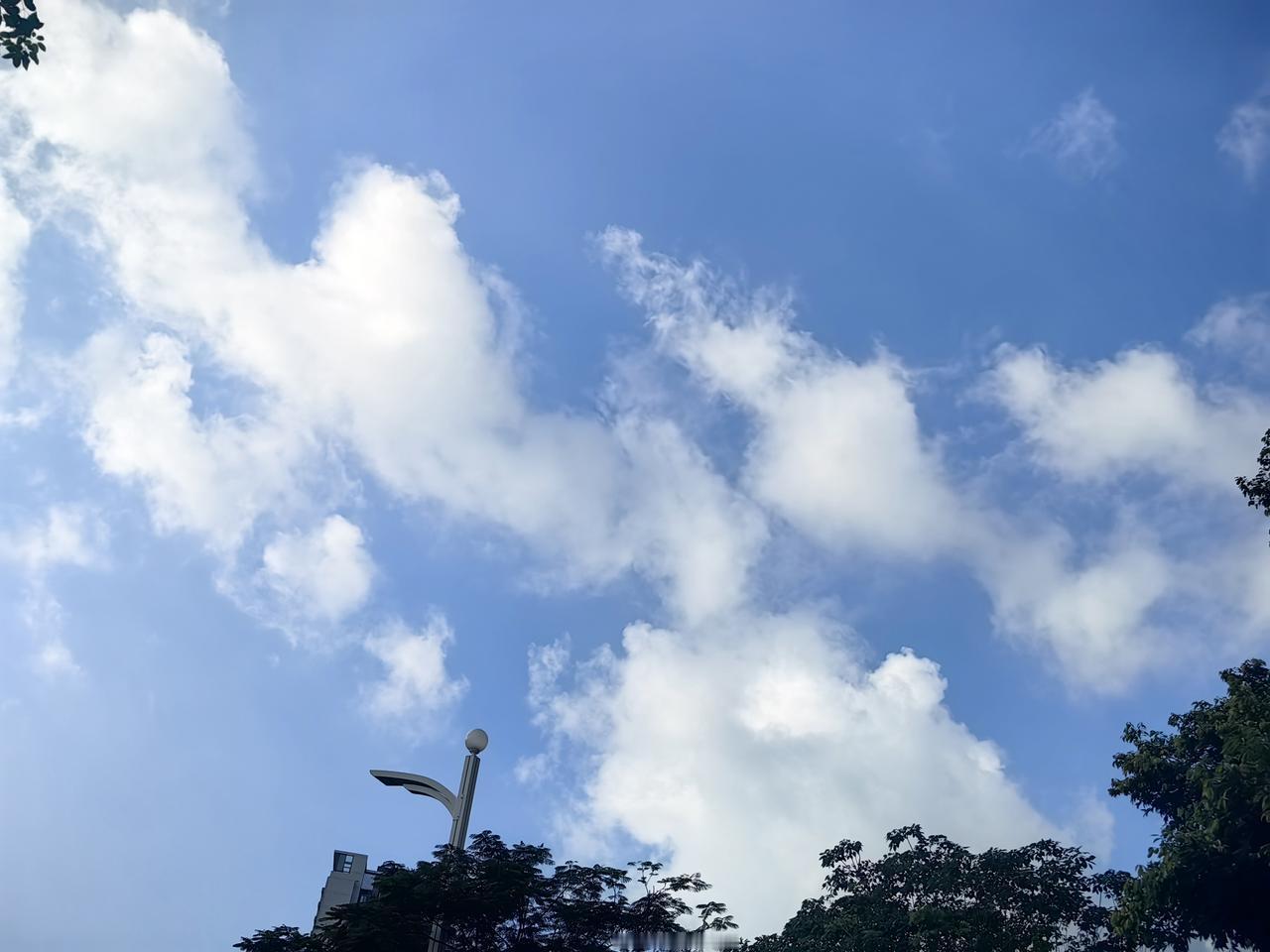 今天多云，天气挺舒服的。太阳偶尔从云层里探出头，洒下些许温暖。远处的山峦在云雾中