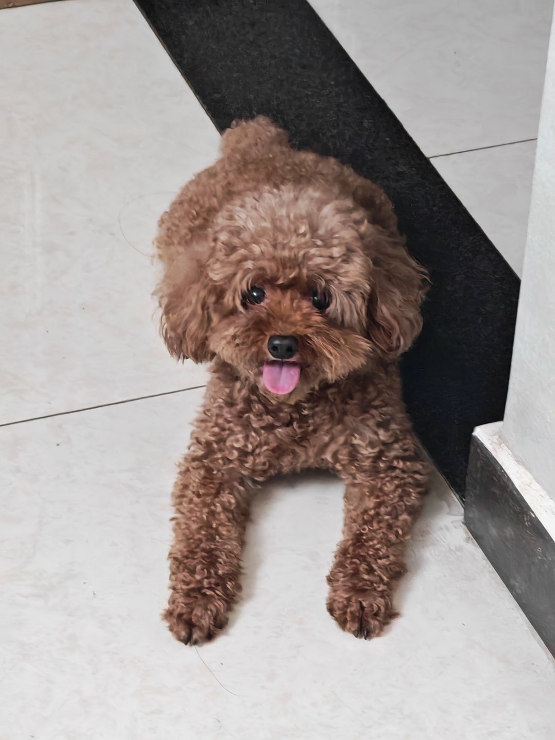 展示狗肝👅 ​​​
