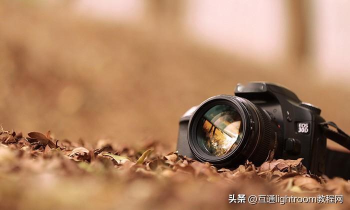10个提高摄影技巧的方法：使用九宫格、调整曝光补偿、选择正确的拍摄模式、注意灯光