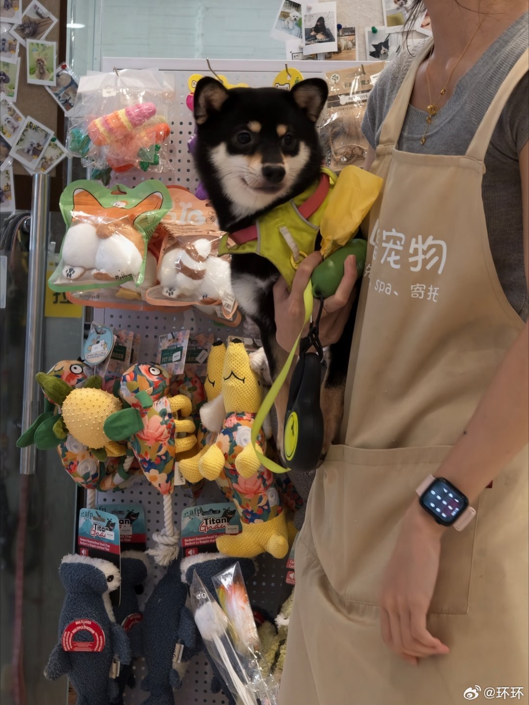 带逆女来洗个澡，刚洗完下楼就在店里地板上撒了一坨尿，真的很会让妈妈难堪了小狗当当