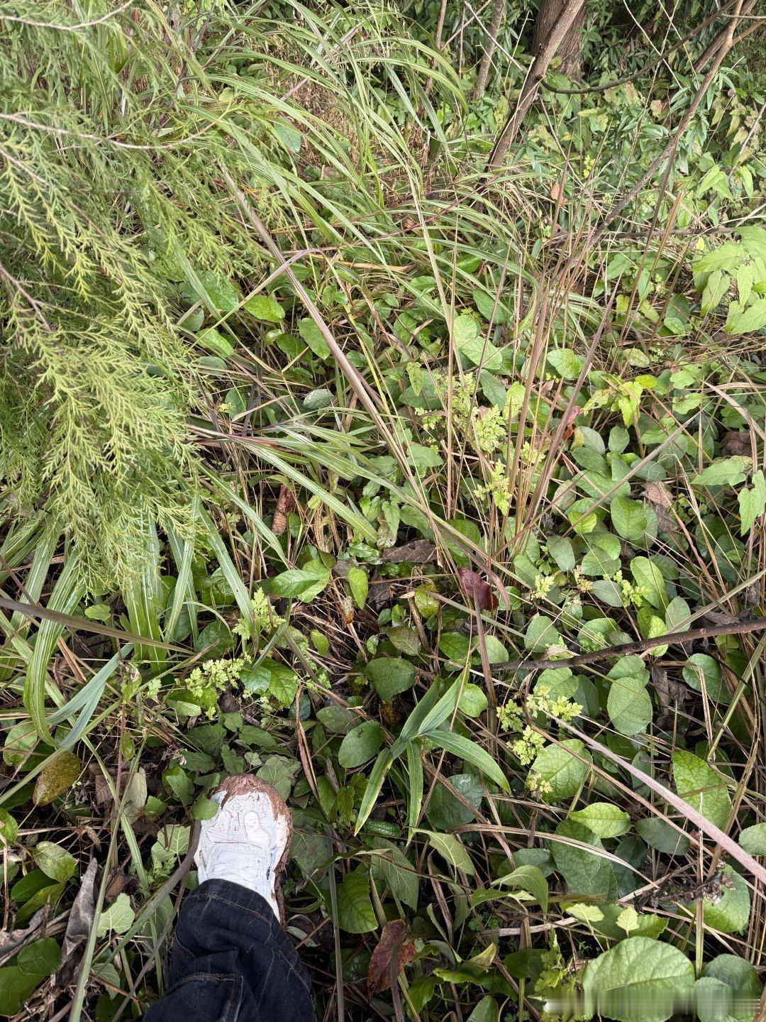 丁程鑫请问路在哪儿  丁程鑫问路  敢问路在何方[招财超崽] 