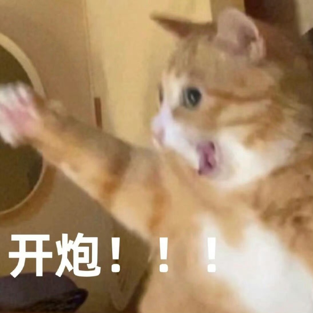 东子开局依旧是手感火热🔥🔥🔥火力全开！nba森林狼vs湖人 ​​​