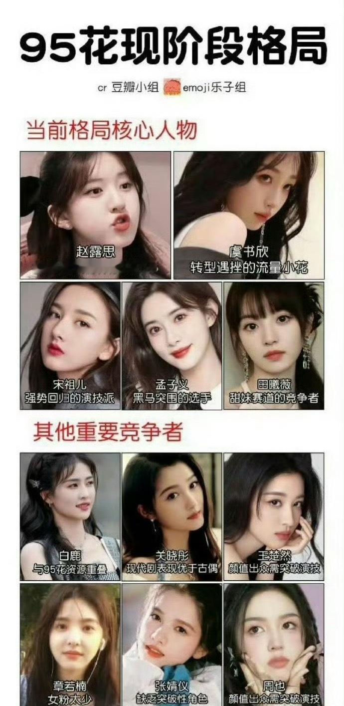 95花目前的格局。基本就是这样吧，不过把白鹿和赵露思虞书欣放在一档比较合适。然后