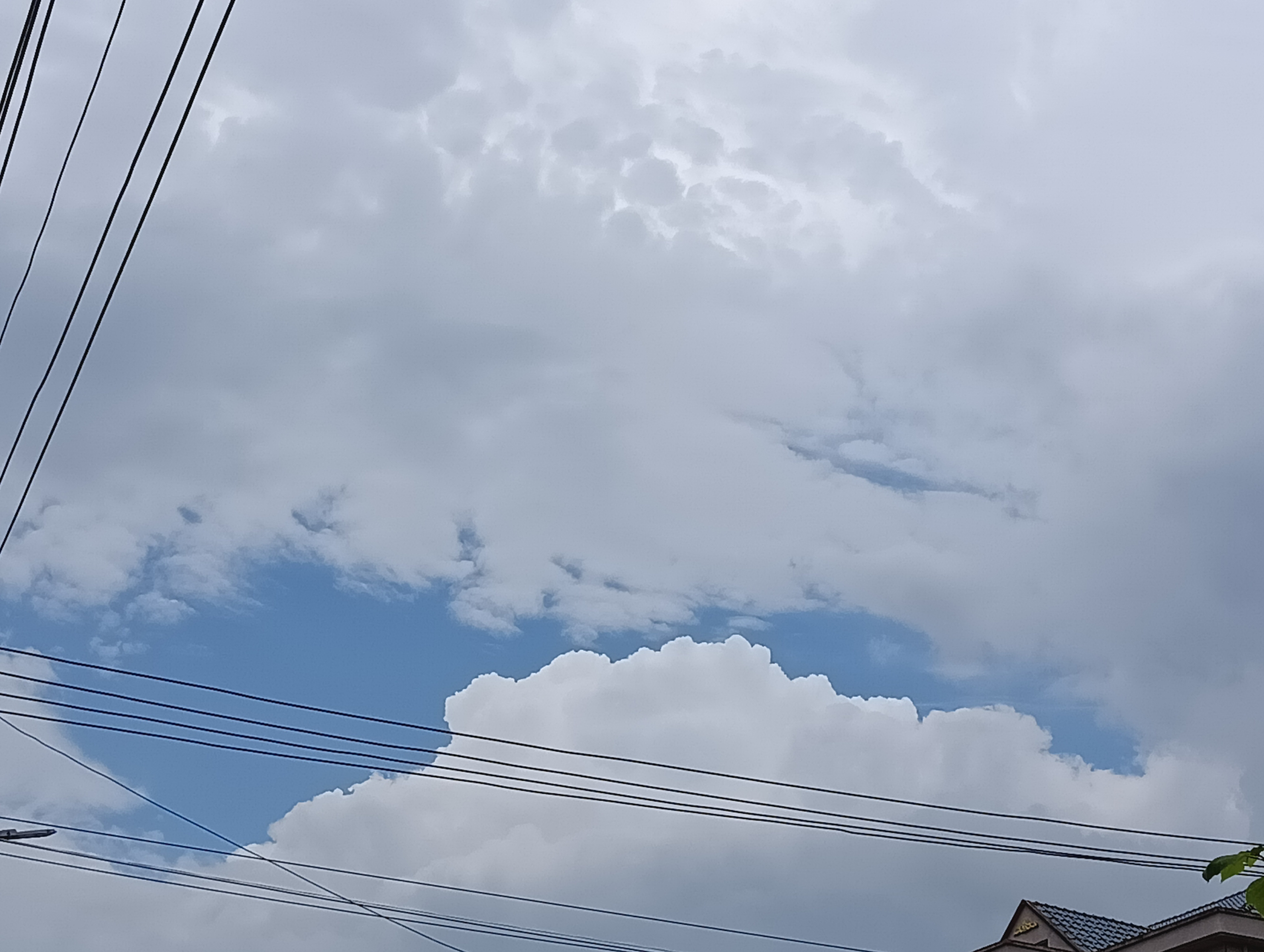 每日一善 美好的一天开始了，今日份的快乐在于积极向上热爱生活。 