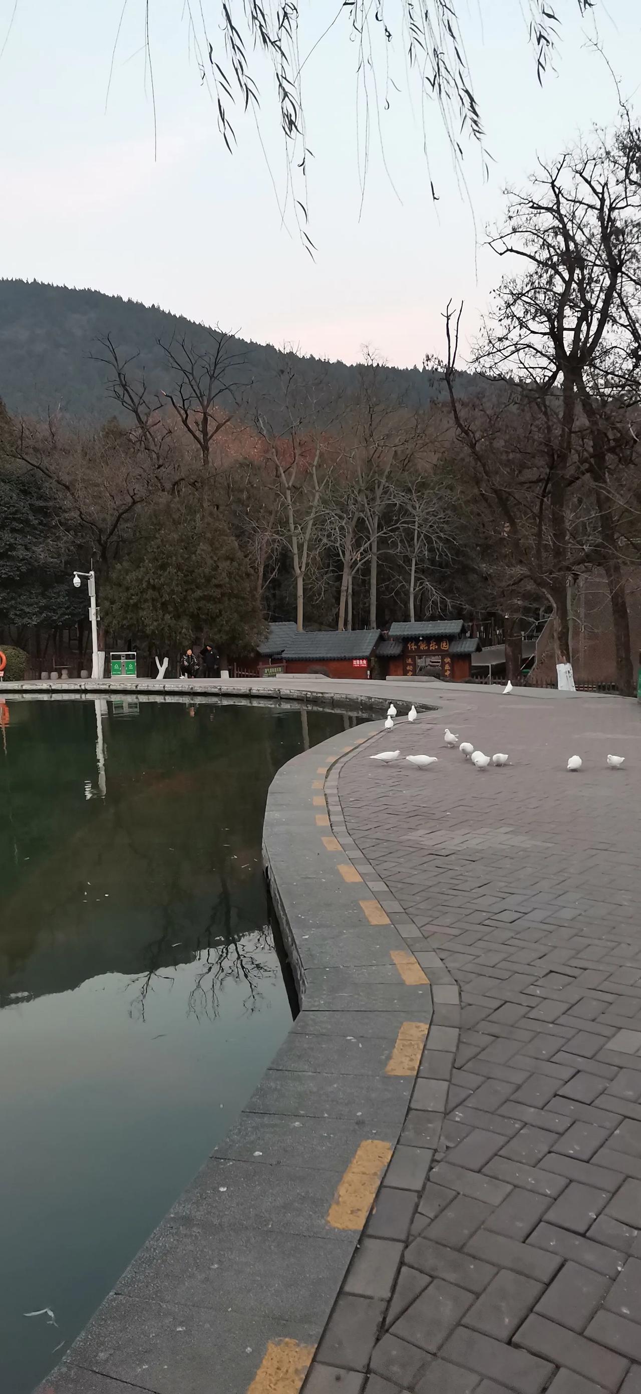 随手拍，记录美好瞬间