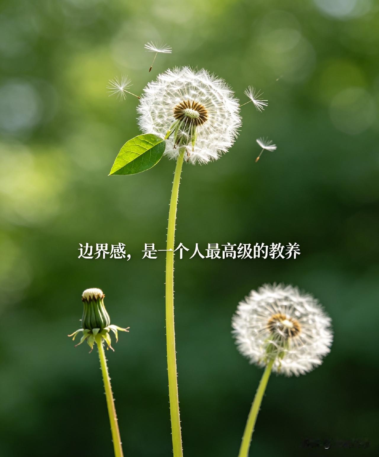边界感，是一个人最高级的教养

心理学家武志红说：“边界感，是成年人的顶级修养。