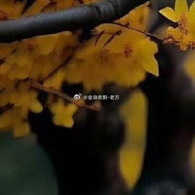 人生无常，最重要的不是你处的位置，而是你所朝的方向。你不能决定生命的长度，但你可