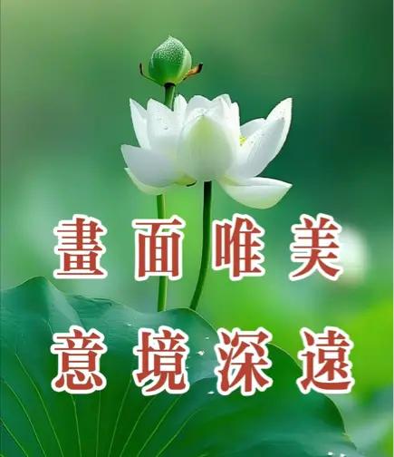 意境深远，情商深厚。太棒了！感谢分享！[加油]
