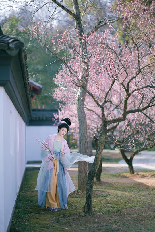 宋·这便是古人写的“聊赠一枝春”🌸南京约拍