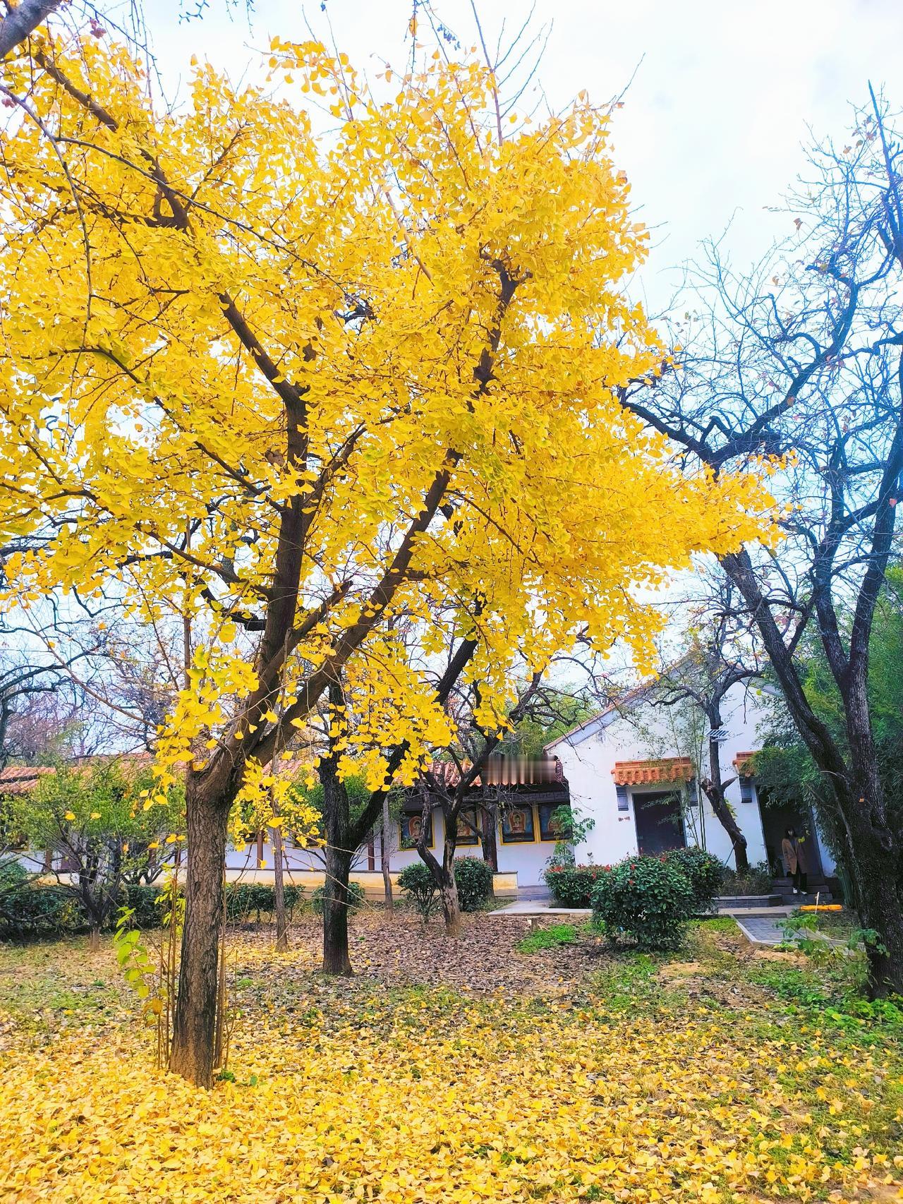 有求于人，必然受制于人。

谈起教师地位，我个人觉得比以前提高很多。以前教育需要