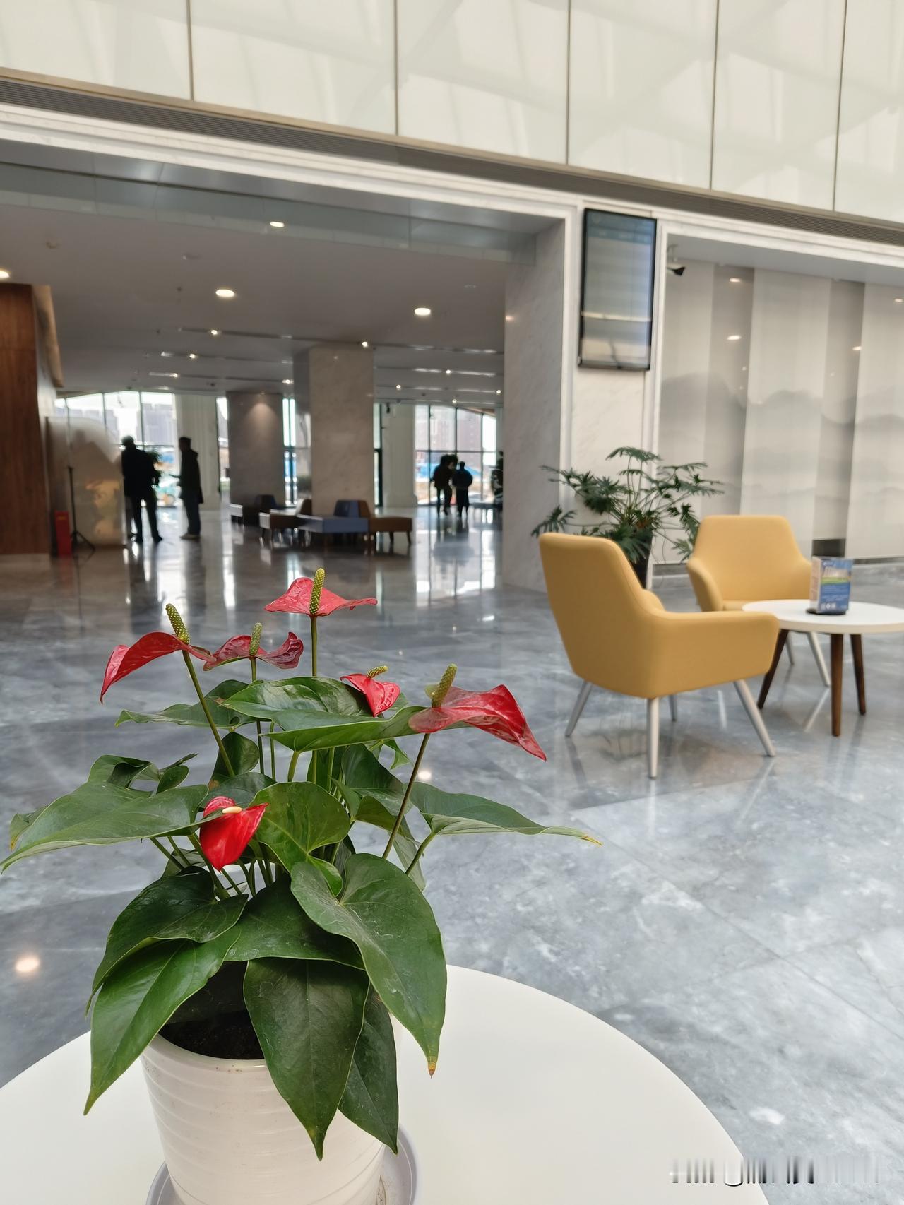 今天去医院进行体检，各项指标均正常，这与日常锻炼有很大关系。

医生也不忘叮嘱，