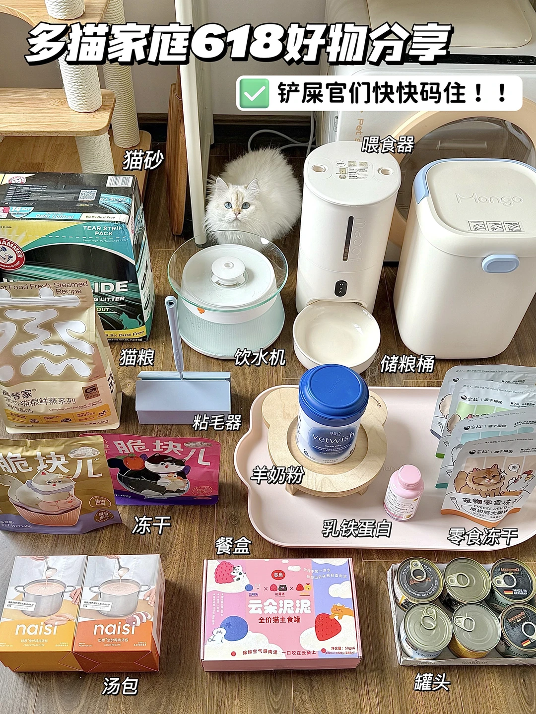 618养猫好物分享｜干货满满 照着买就对了！