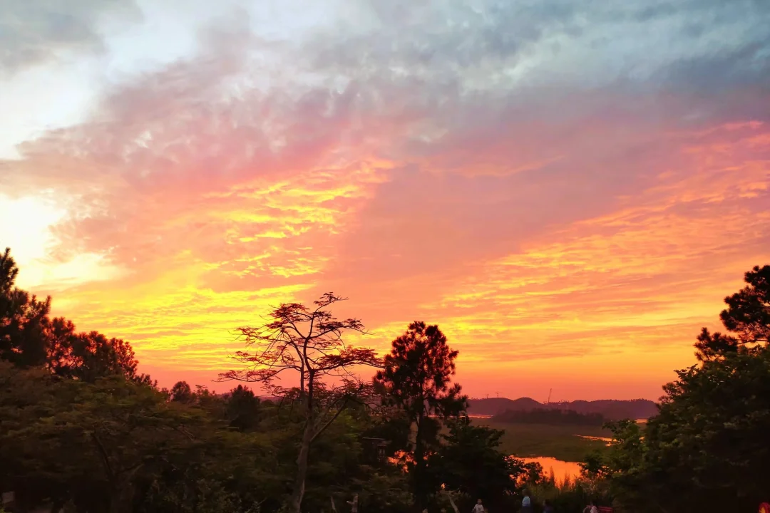 很多人到死也没弄明白，自己为什么会生病？大多数的疾病，都是由于家庭不和...