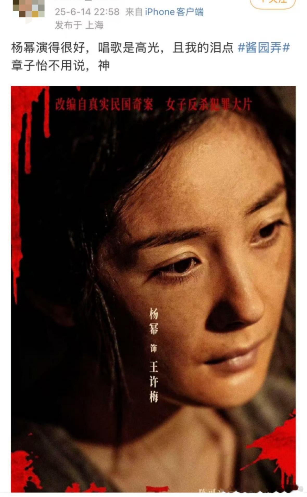 酱园弄影评 酱园弄观影的repo，感觉关于杨幂的部分有收获到意外和惊喜，“一个矛