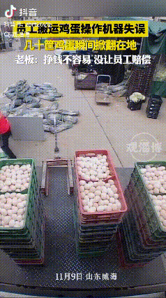“活该她发财！”11月8日，山东威海，一男子第一天上班，搬运鸡蛋时按错了按钮，导