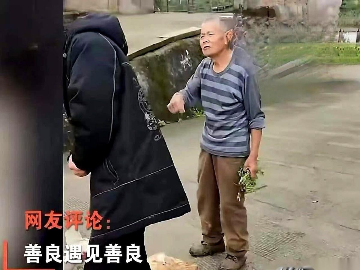 在重庆一段乡道上，阿成一脚刹车踩到底，还是没躲开。
“噗嗤”一声。
他下车一看，