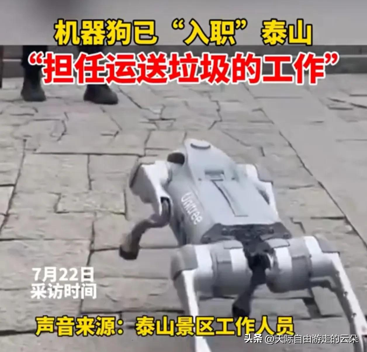 泰山惊现机器狗挑山工！扔垃圾不用人扛了，山顶矿泉水能便宜不？

大家爬泰山最怕啥