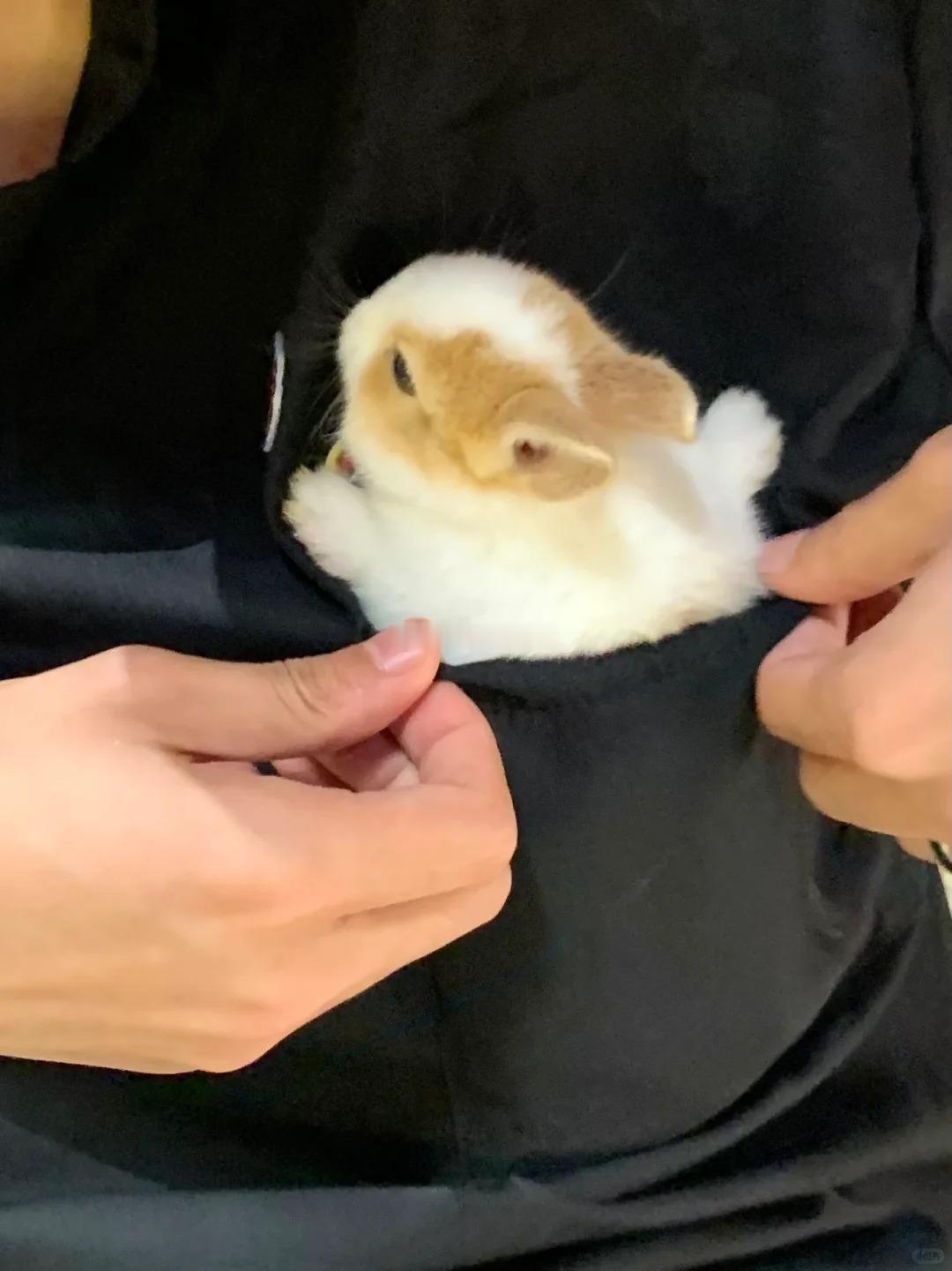 小程秀这么可爱邵群就是要走哪带到哪 