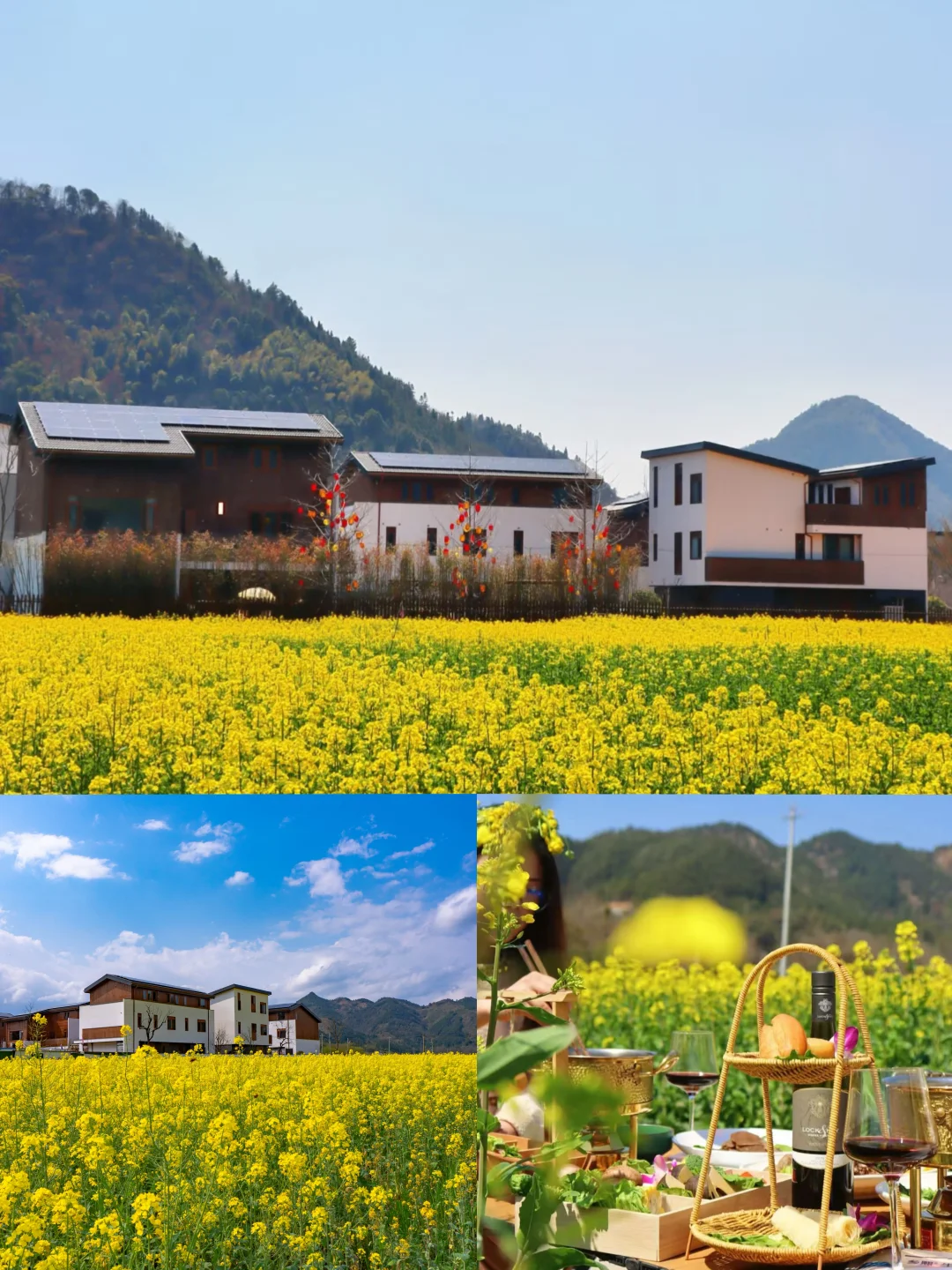 是诗人笔下的春天啊🌿住进油菜花海里的民宿