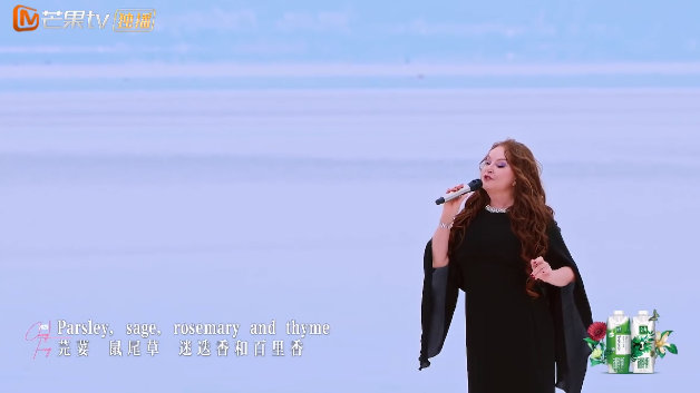 莎拉布莱曼开场乘风三公乘风2025三公乘风2025三公赢麻了！莎拉·布莱曼开口跪
