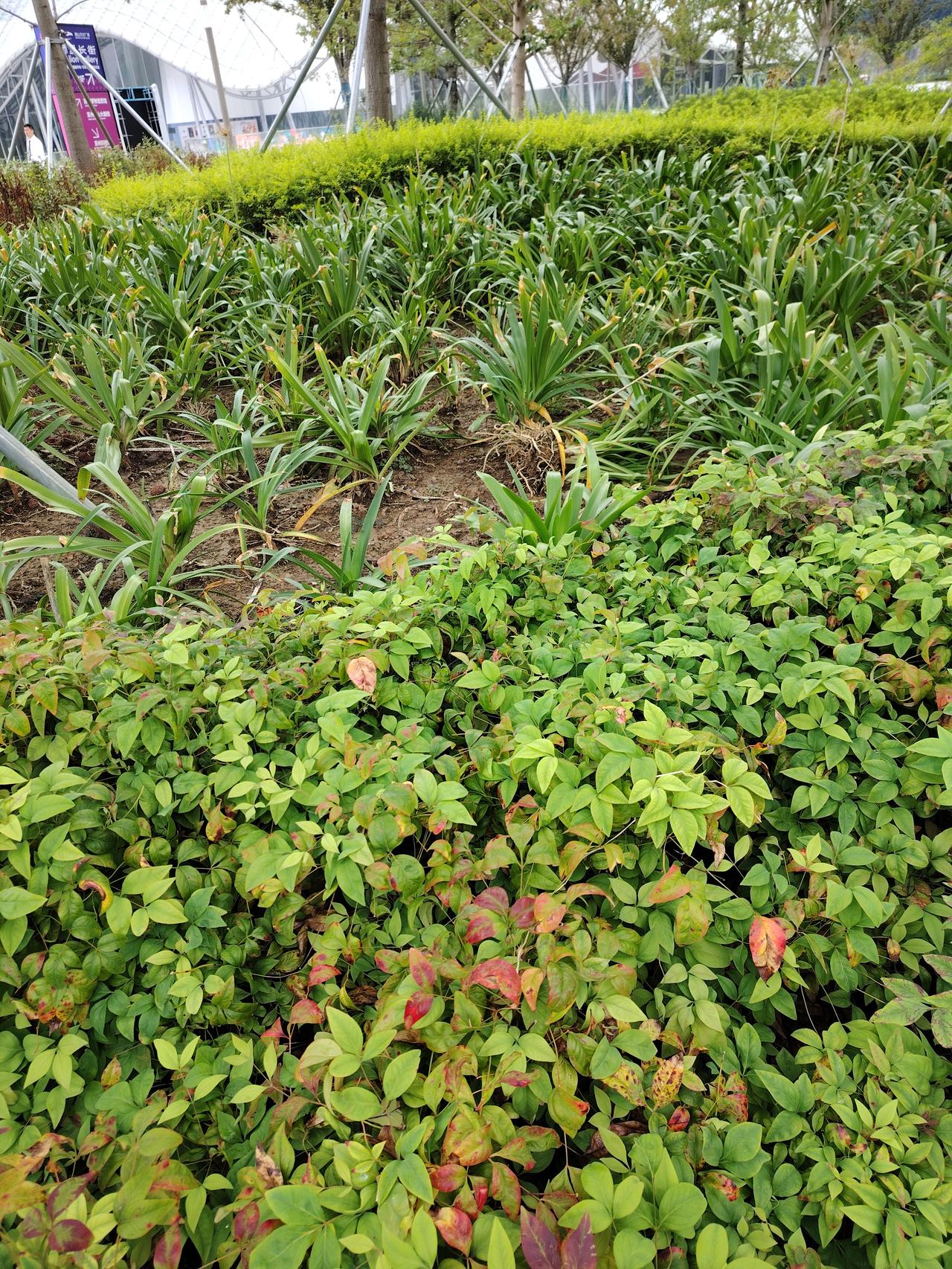 深夜惊魂！无锡，女子半夜上厕所，突然感觉有东西顶自己的“屁眼”，女子回头一看，吓