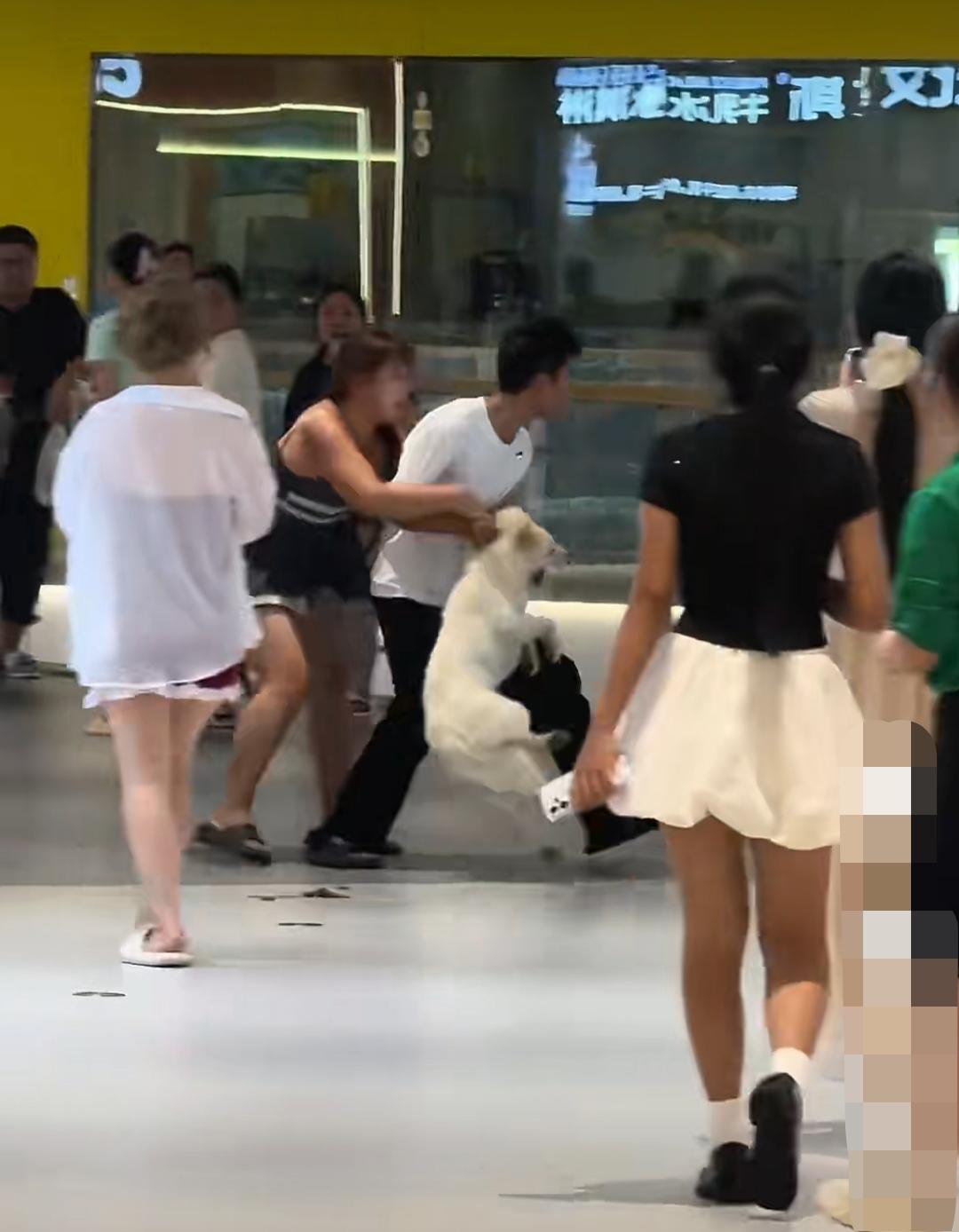 7月17日，湖南长沙，这位穿吊带裙的女子商场内遛狗不牵绳，疑似狗吓到男子的女朋友