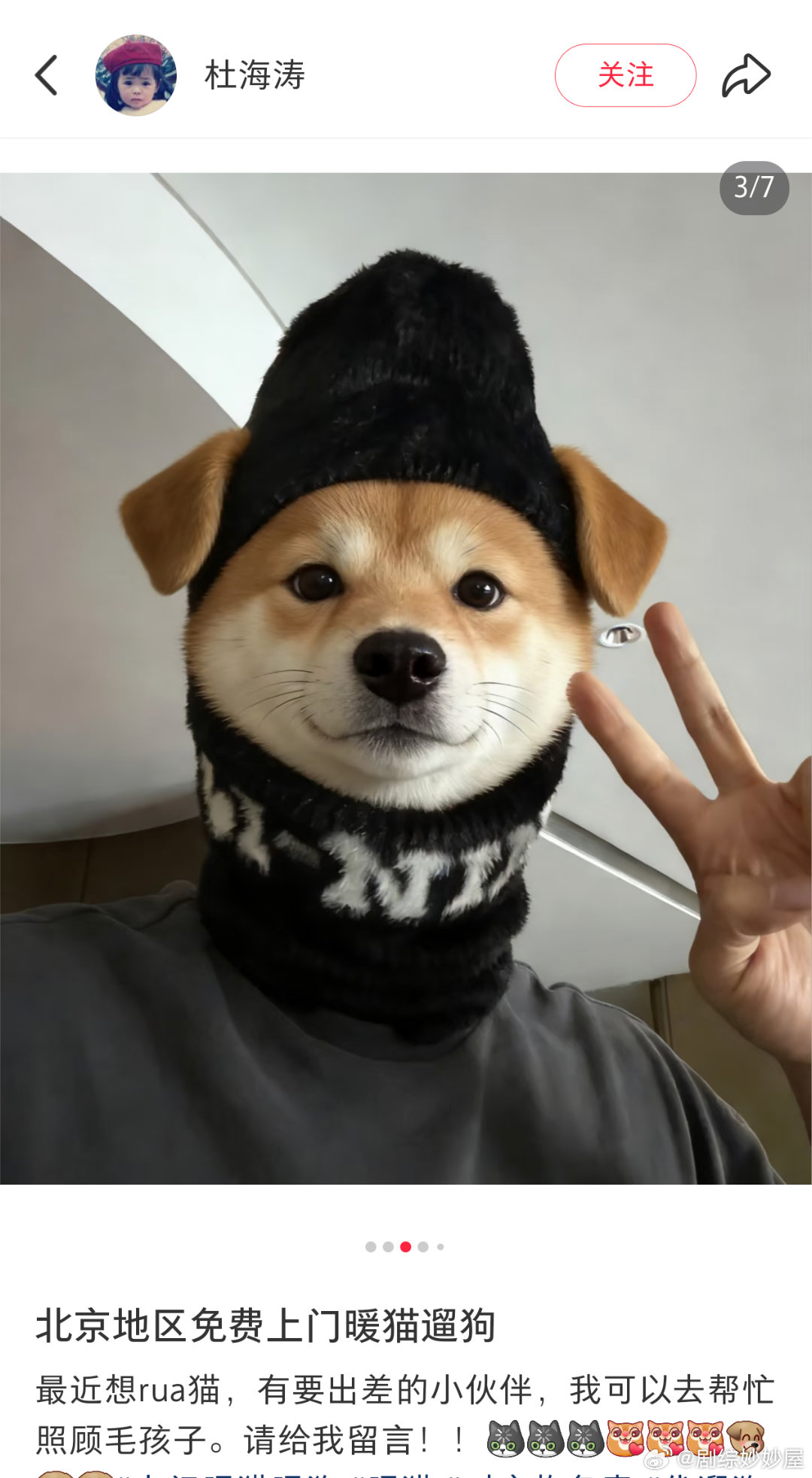 杜海涛最近走啥路子呢，又抓住一个玩ai玩高兴了的给自己ai了猫耳狗耳朵出来 