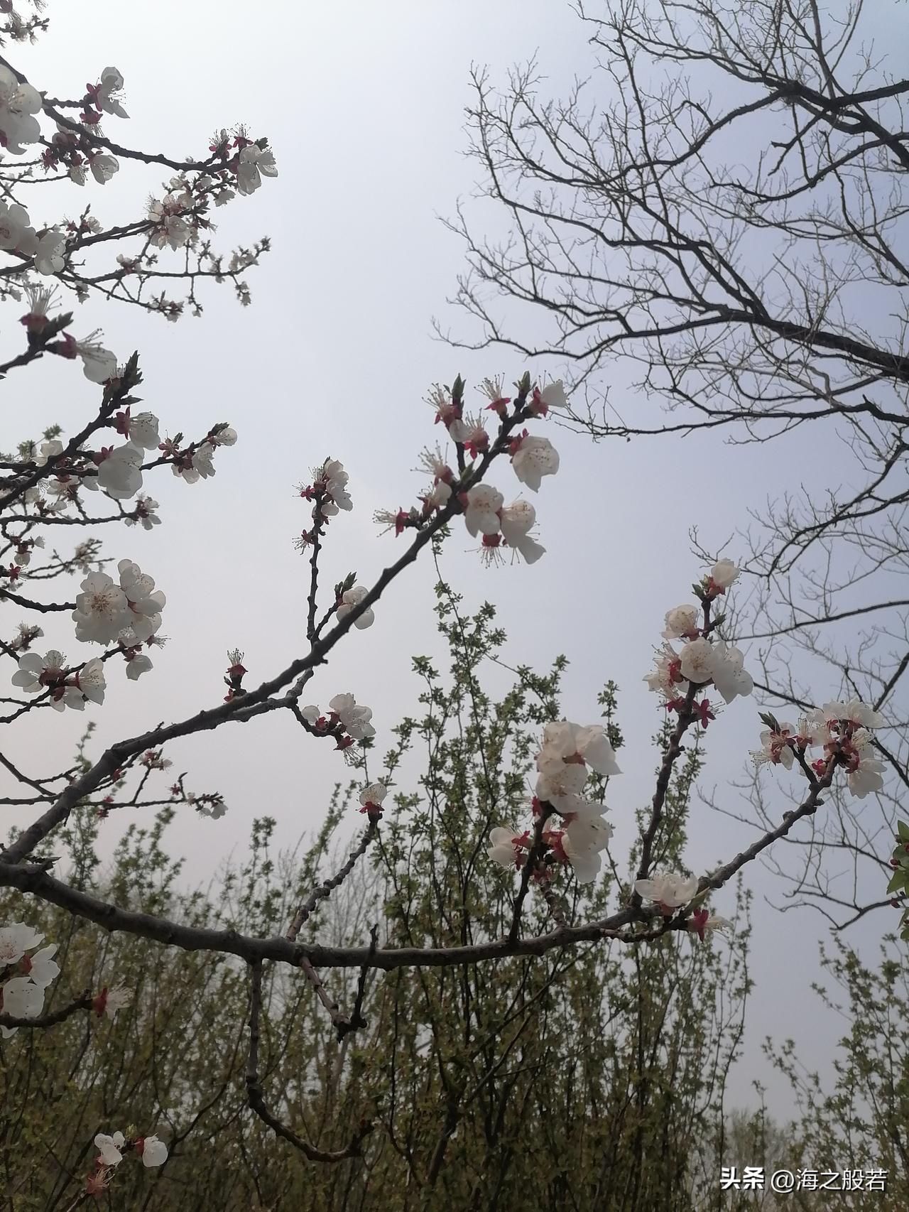 3月30日的北京，将会是一个怎样的天气呢。

白天多云转阴，夜间有零星小雨。
气