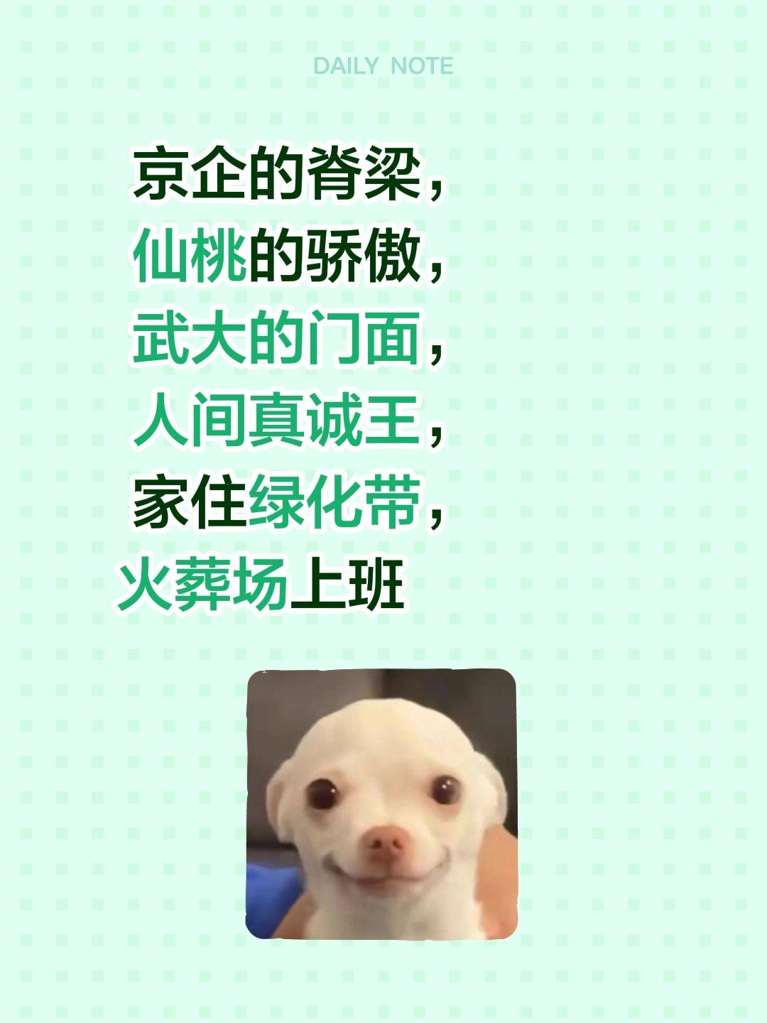 京企的脊梁，
 仙桃的骄傲，
 武大的门面，
 人间真诚王，
 家住绿化带，
火