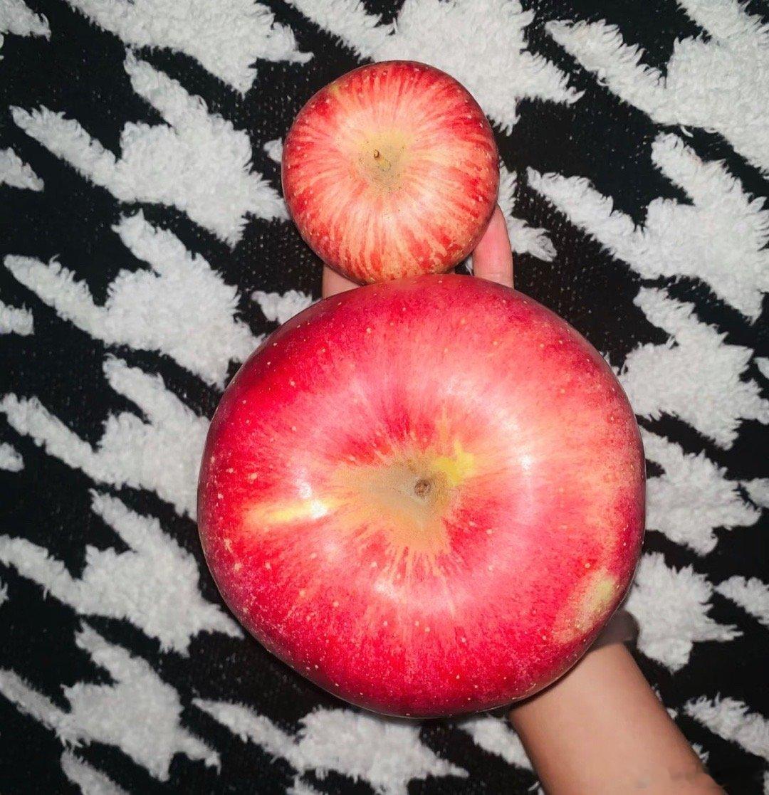 刚吃完一只脆甜苹果，若不是队友提醒，几乎忘了明天就是圣诞节了。日子像被按了快进，