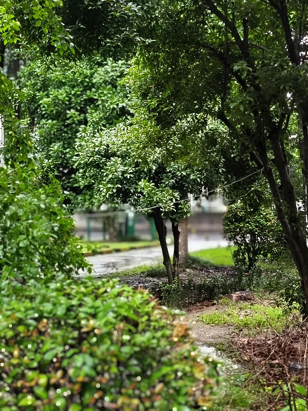 南京这暴雨就跟个急性子的“暴脾气老哥”似的，说来就来！今天07时59分，市气象台