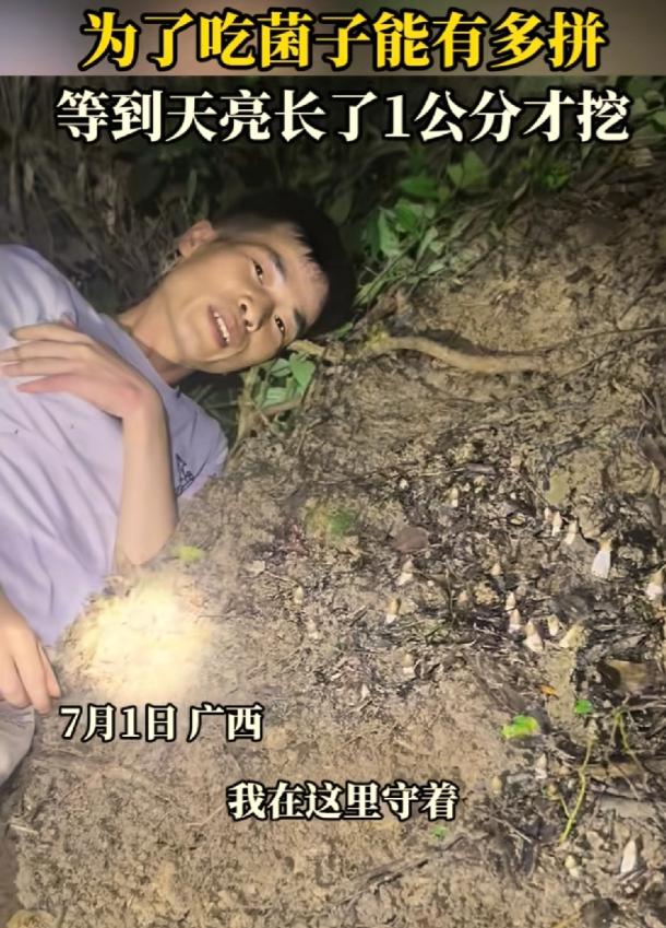 笑不活了，7月3日报道，广西，一男子晚上和朋友进山找菌子，发现一窝鸡枞，他觉得个