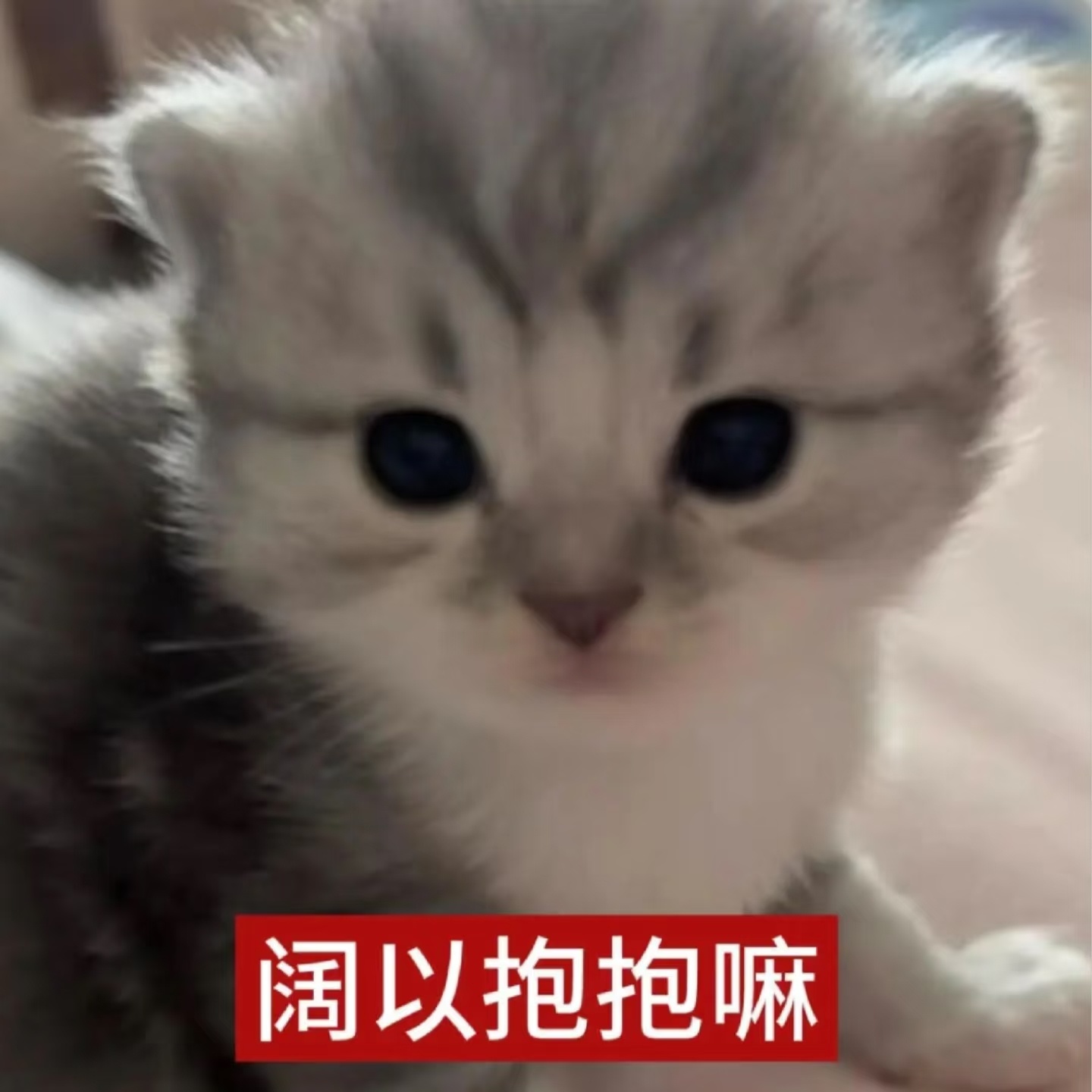 早生蚝！依旧是一个早安贴～开启新一天