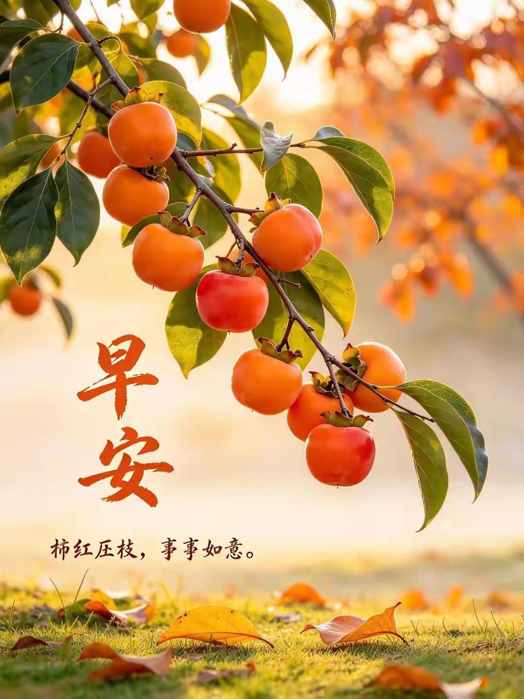 10月7日的早上七点半，我是被楼下卖早点的吆喝声喊醒的。
窗外的风裹着桂花香往屋