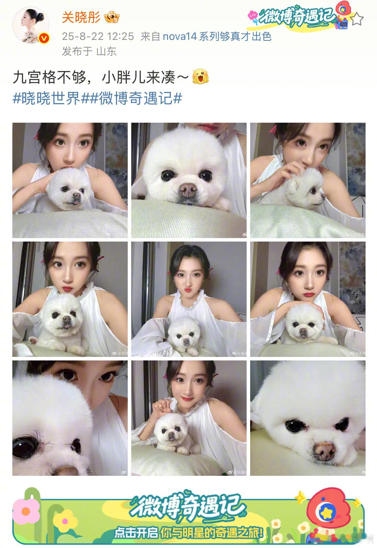 关晓彤 九宫格不够小胖儿来凑 今日份治愈来自和修勾！她状态超棒超吸睛，修勾歪头杀